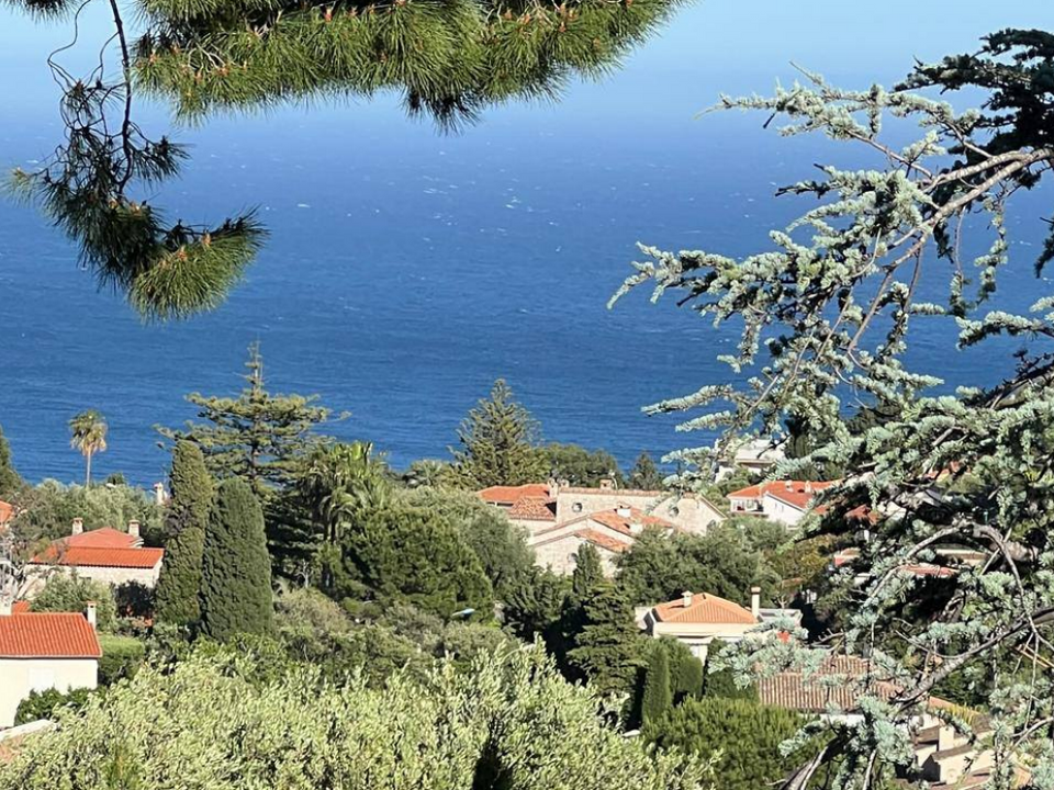 Villa i Roquebrune-Cap-Martin, Alpes-Maritimes - foto 1